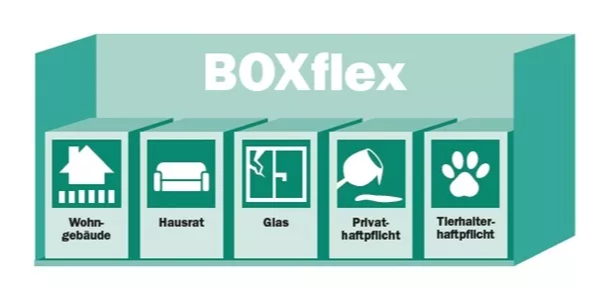 BOXflex