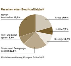 BU-Grafik-Ursachen.jpg BU-Grafik-Ursachen.jpg