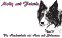 Hundeschule Melly and Friends | AXA Hundeschule Melly and Friends