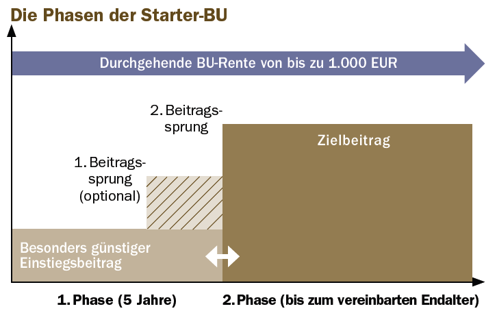 Starter-BU.png Starter-BU.png
