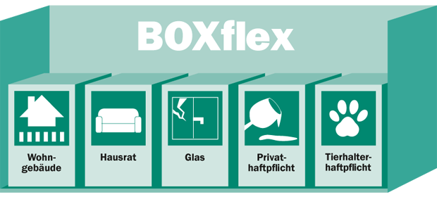 AXA Neumünster Bastian Reschke | BOXflex