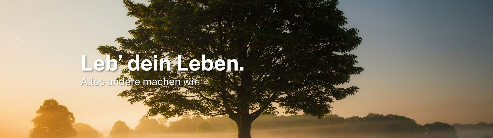 AXA Vertretungen in Berlin Denis Lindenblatt aus Berlin