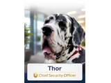 Thor Chief Security Officer