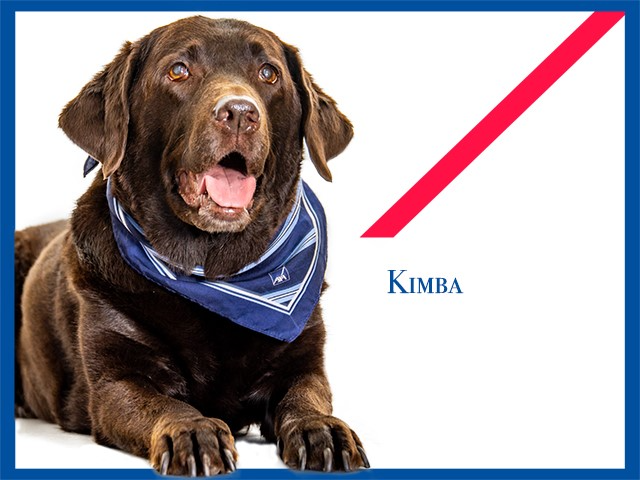 Kundenbetreuung Kimba