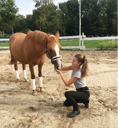 #tierversichert | Spezialist für Tiere 🐶 | 😸 | 🐴