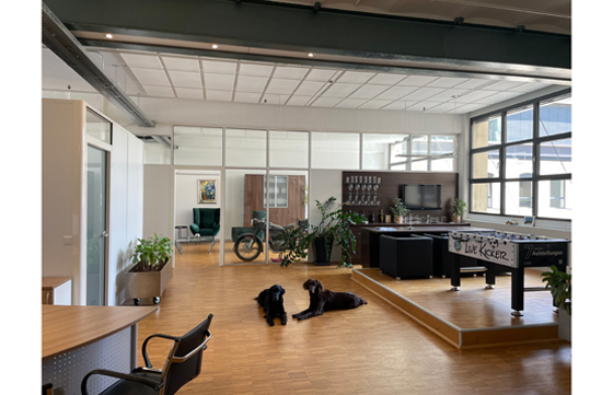 AXA Geschäftsstelle  Hitzfeld + Kollegen GmbH aus Karlsruhe