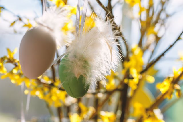 Ihnen eine frohe Zeit zu  den Ostertagen  