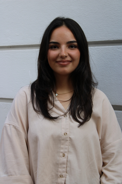 Sabrin Al-Shouli