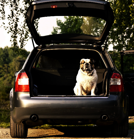 Jetzt zu AXA abbiegen und Vorteile einfahren! 🚗