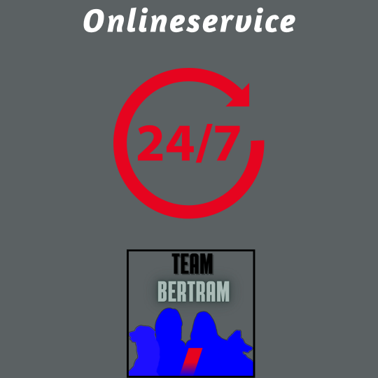 Onlineservice Service