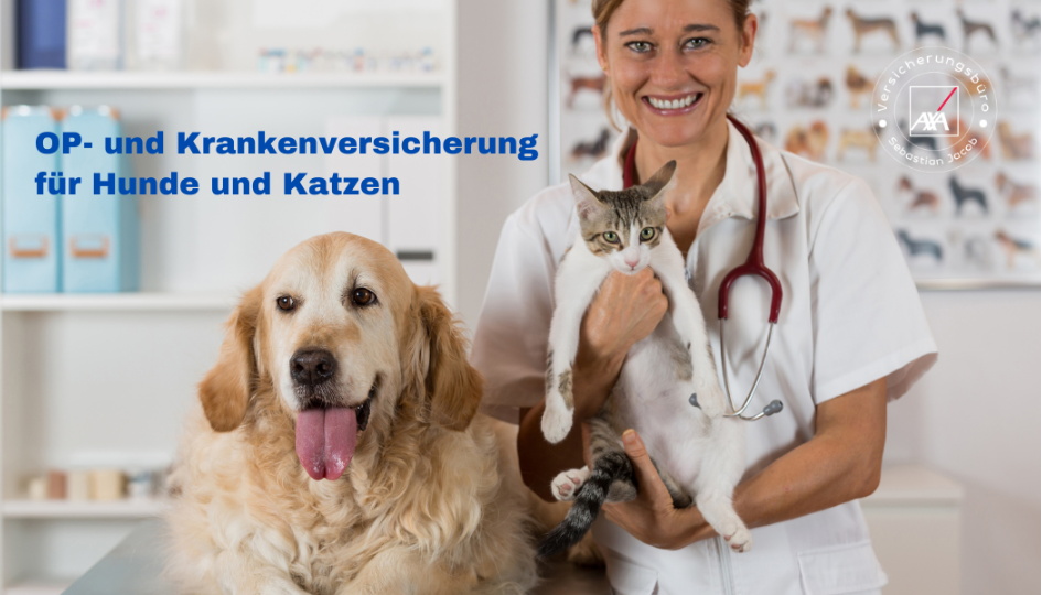 #Tierkrankenversicherung #Hunde #Katzen