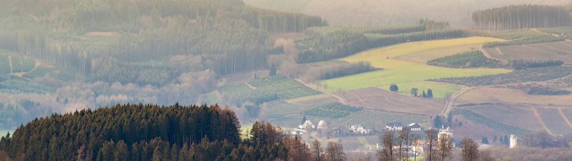 AXA Generalvertretung in Arnsberg Norbert Tomczyk aus Arnsberg